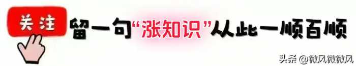 并非迷信！“帽子四不戴，戴了人不顺”，究竟是哪“4种”帽子？