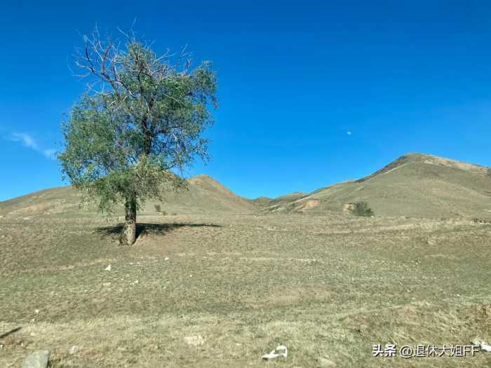 九峰山，我来了；九峰山，再也不来了