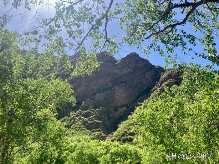 九峰山，我来了；九峰山，再也不来了