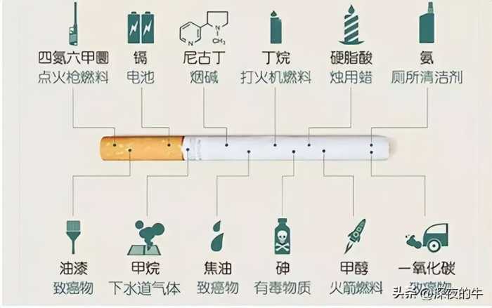 吸烟或成长寿秘方，尼古丁可延缓衰老？中科院重磅研究颠覆认知！