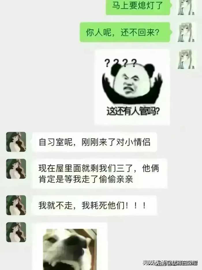 现在这聊天尺度，真的都是天花板级别的，看不下去了