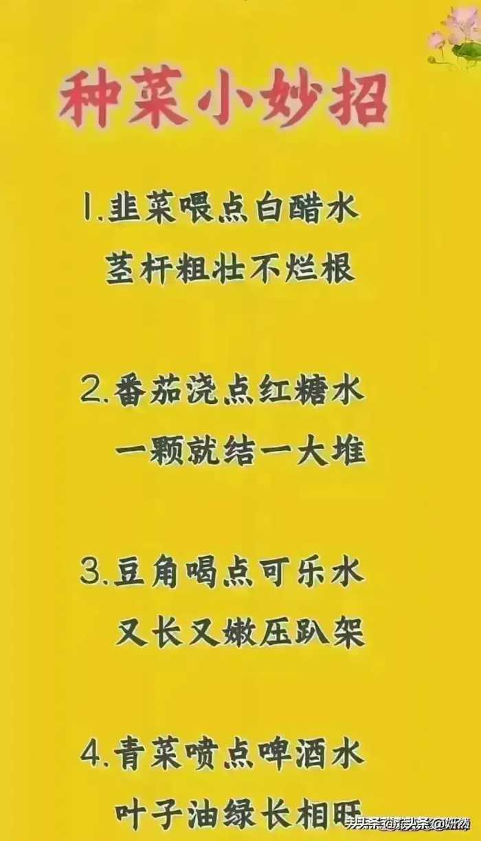 永不过期的食物越放久越好，收藏保存，一定要记住。