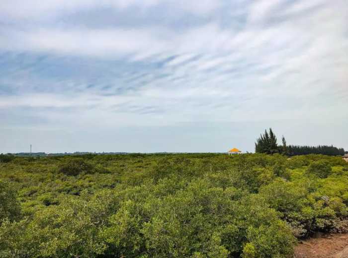 刚从湛江回来，含泪总结的攻略教训！去湛江，这8个美景就GO了