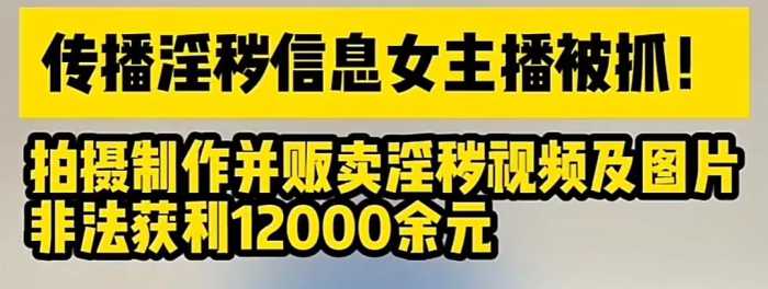 三观炸裂！女子拍淫秽视频贩卖，获利12000元，笑死在评论区