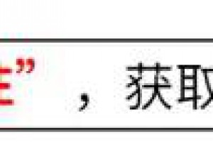 国家终于出手了！4个综艺节目被“强制停播”，没有一个值得同情