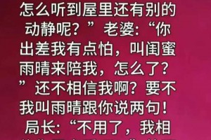 天呐，“局长出差”一文，太精辟了，文采过人，值得细品。